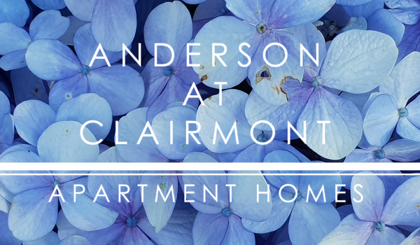 Anderson at Clairmont Apartment Homes